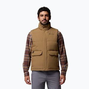 Férfi ujjatlan Columbia Landroamer Puffer delta (Landroamer Puffer 2134281257) kép