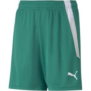 teamLIGA Shorts Jr kép