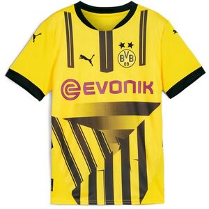 BVB Cup Jersey Replica Jr 2024/25 kép