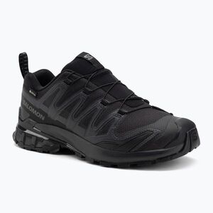 Férfi futócipő Salomon XA Pro 3D V9 fekete/phantom/pewter (XA Pro 3D V9 L47277000) kép