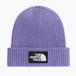Téli sapka The North Face Logo Box Cuffed grounded plum (Logo Box Cuffed NF0A8CGUNNK1) kép