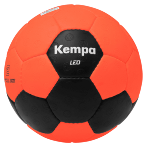 Leo Training kép
