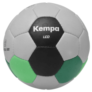 Leo Training kép