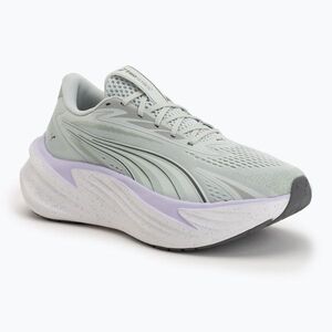 Futócipők Puma Maxima Pro creme de mint/light lavender (Maxima Pro 313313 26) kép