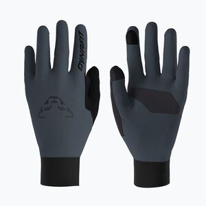 Síalpinizmus kesztyűk DYNAFIT Blacklight Polartec Alpha cinder (Blacklight Polartec Alpha 08-0000072018) kép
