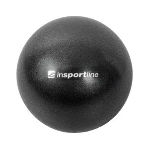 Gimnasztikai labda inSPORTline Aerobic Ball 20 cm, könnyen karbantartható, 120 kg terhelhetőség kép
