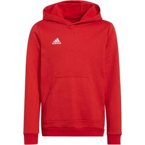 ENT22 HOODY Y kép