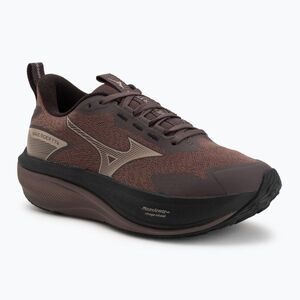 Női futócipők Mizuno Wave Rider Tt 4 peppercorn/simply taupe/black (Wave Rider TT 4 J1GW263272) kép