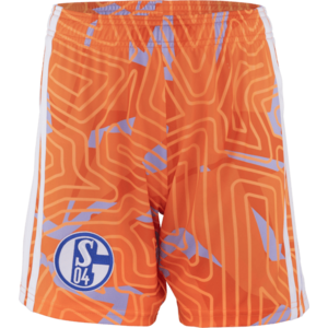 FC Schalke 04 kép