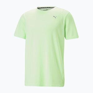 PUMA Performance férfi edzőpóló zöld 520314 34 (Performance SS 520314 34) kép