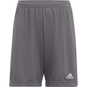 ENT22 SHO kép