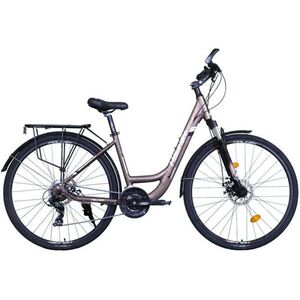 Blackbrook Lady 28 kép