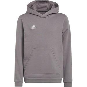 ENT22 HOODY Y kép