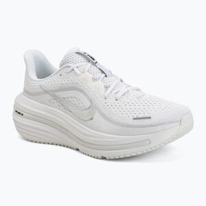 Férfi futócipő Nike Winflo 12 white/summit white/metallic silver (Winflo 12 HV9272-103) kép