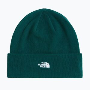 Téli sapka The North Face Norm Beanie hunter green (Norm Beanie NF0A5FW11KI1) kép