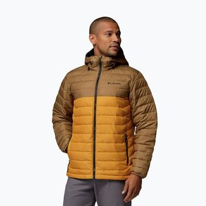 Kurtka męska Columbia Powder Lite II Hooded squash/delta (Powder Lite II Hooded 2086944735) kép