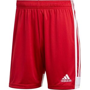 tastigo 19 short kép