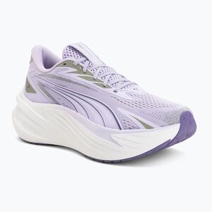 Futócipők Puma Maxima Pro light lavender/plum purple (Maxima Pro 313313 20) kép