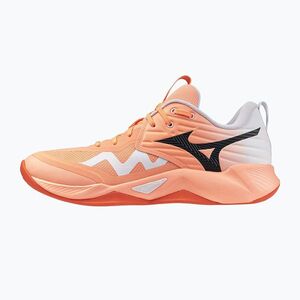 Röplabda cipő Mizuno Wave Momentum Pro flamingo coral/carbon/white (Wave Momentum Pro V1GA254080) kép