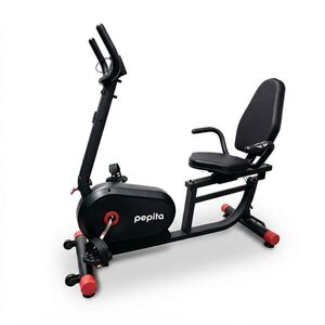 Pepita EasyRide háttámlás szobakerékpár 120kg - Fekete kép