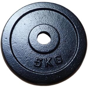 KUBIsport Öntöttvas tárcsa 5 kg - 25 mm kép