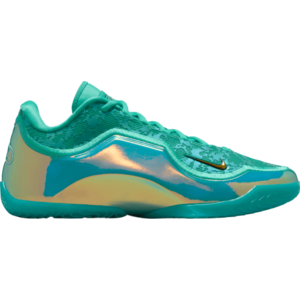 LeBron XXII kép
