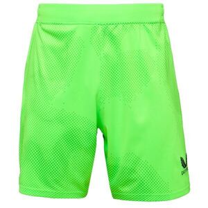 CASTORE SK SLAVIA PRAGUE AWAY GOALKEEPER SHORT Férfi kapusnadrág, zöld, méret kép