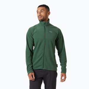 Férfi Helly Hansen Daybreaker trekking pulóver dzsungel zöld (Daybreaker 51598_390) kép