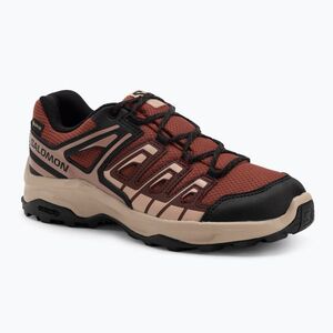 Női Salomon Extegra GTX túracipő henna/futó szőlő/mahagóni rózsa (Extegra GTX L47799900) kép
