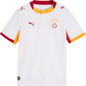 Galatasaray S.K. Replica 3rd 2026/27 kép