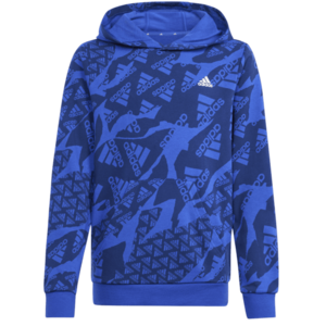 Hoody Kids kép