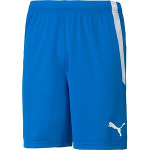 teamLIGA Shorts kép