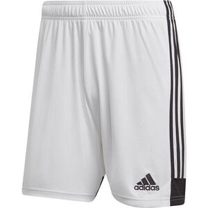 tastigo 19 short kép