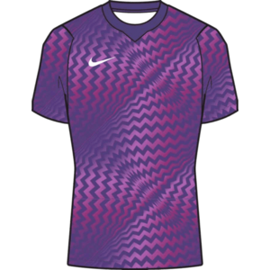 Dri-FIT Gardien VI Goalkeeper kép