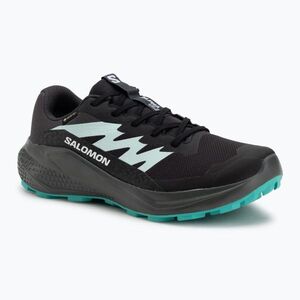 Női futócipő Salomon Alphaglide GTX hantom/urban chic/waterfall (Alphaglide GTX L47802400) kép