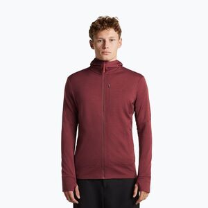 Férfi pulóver Icebreaker Merino 260 Quantum IV LS Zip Hoodie port/agate (Merino 260 Quantum IV Zip Hoodie IBBA56W20NL1) kép
