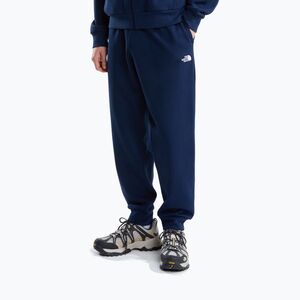 Férfi nadrág The North Face Evolution Simple Dome Regular Joggers summit navy (Evolution Simple Dome Regular Joggers NF0A8CWY8K21) kép