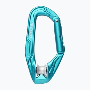 Karabiner EDELRID Axiom icemint (Edelrid Axiom 882710003290) kép