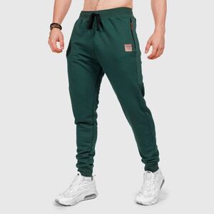 Férfi melegítőnadrág Iron Aesthetics Grade, zöld kép