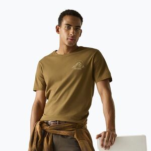 Férfi póló Regatta ClineIX rich tan original outdoor (ClineIX RMT296-0SV) kép