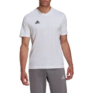 ENT22 TEE kép