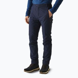 Férfi túranadrág REGATTA Highton Winter navy (Highton Winter RMJ352-540) kép