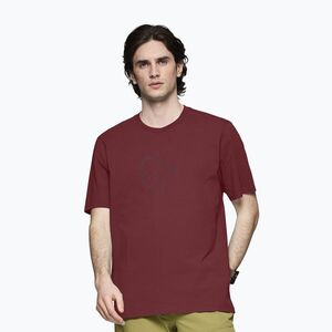 Férfi póló NORRONA Cotton Viking port (Cotton Viking 3417-21) kép