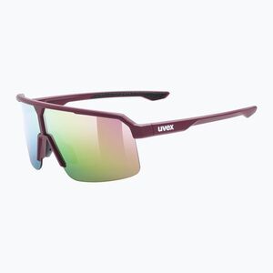 Napszemüveg UVEX Ramp burgundy matt/mirror rose (Ramp 53/4/003/3316) kép