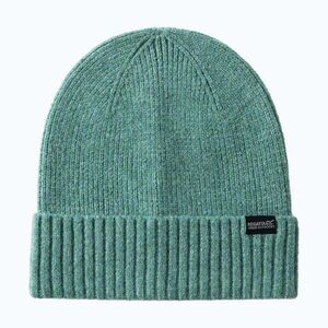 Női téli sapka REGATTA Ribbed Basic dark forest green (Ribbed Basic RWC225-WSI) kép