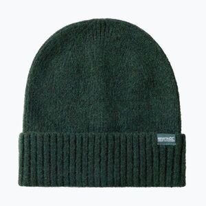 Női téli sapka REGATTA Ribbed Basic deep pine (Ribbed Basic RWC225-0UC) kép