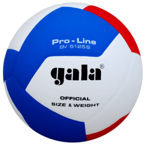 Gala Volleyball BV5125S Pro-Line Match Ball kép