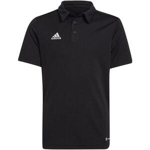 ENT22 POLO Y kép