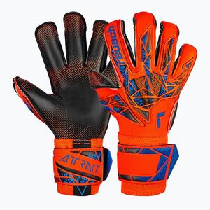 kapuskesztyű Reusch Attrakt Gold X Evolution GluePrint hyper orng/elec blue/blck (Attrakt Gold X Evolution GluePrint 5470975) kép