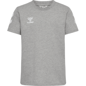 Go 2.0 Chevron kép